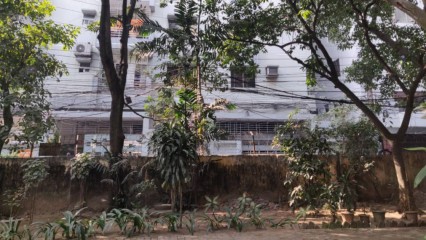 A Boundary Wall emerges